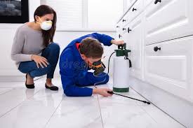 Real Estate Pest Inspections in Cudahy, CA